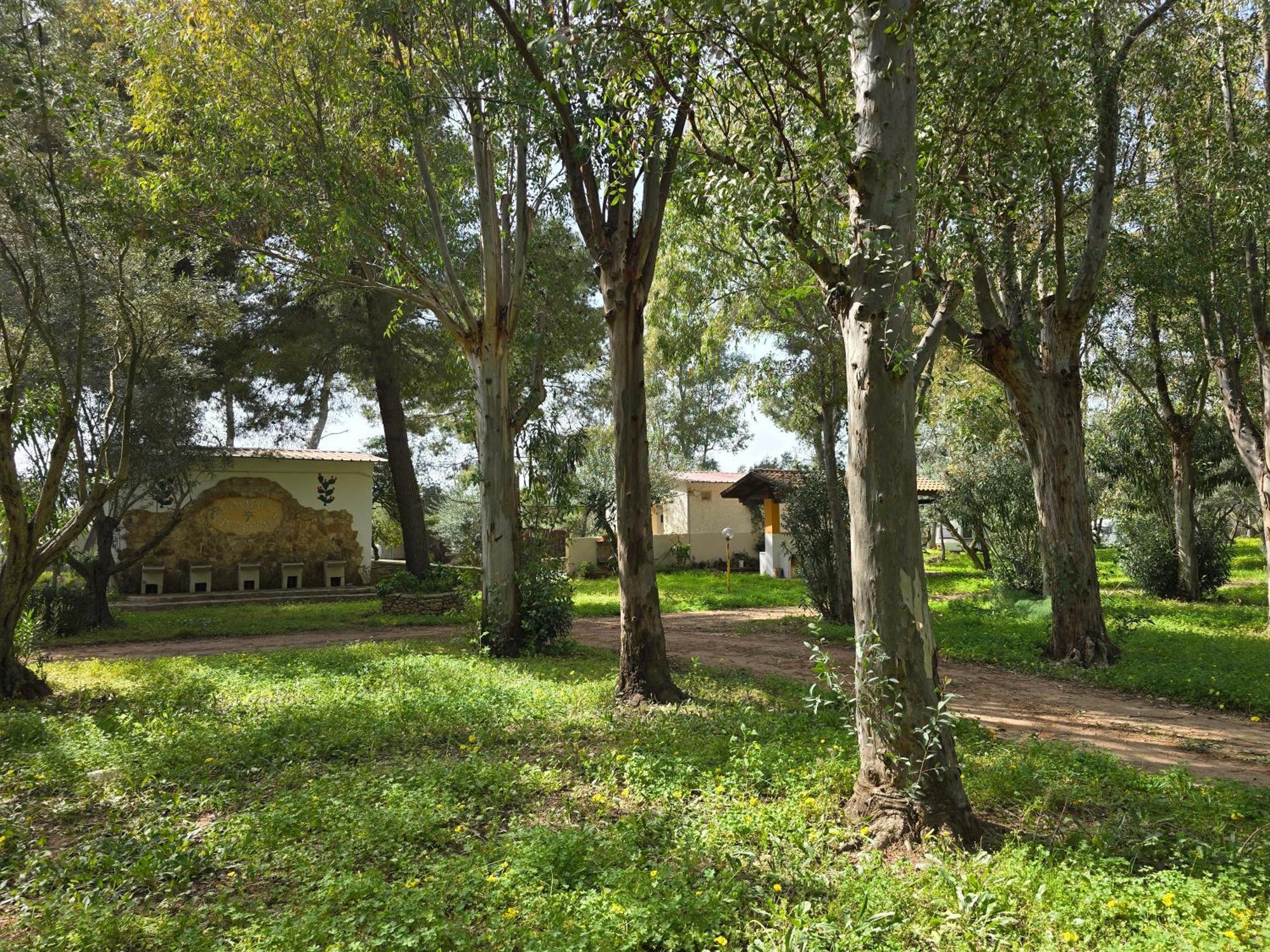 Village Camping Fico D'India Ovile la Marina Exteriör bild