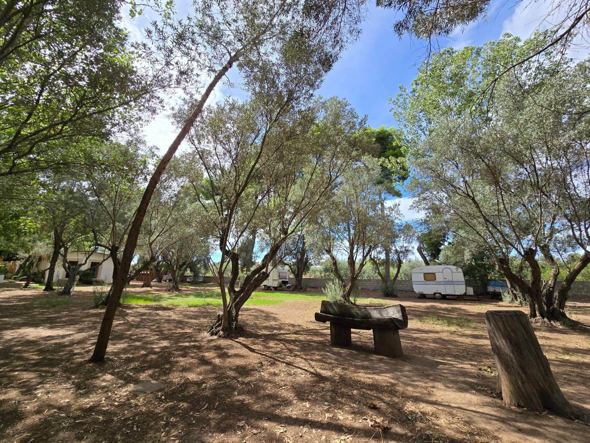 Village Camping Fico D'India Ovile la Marina Exteriör bild